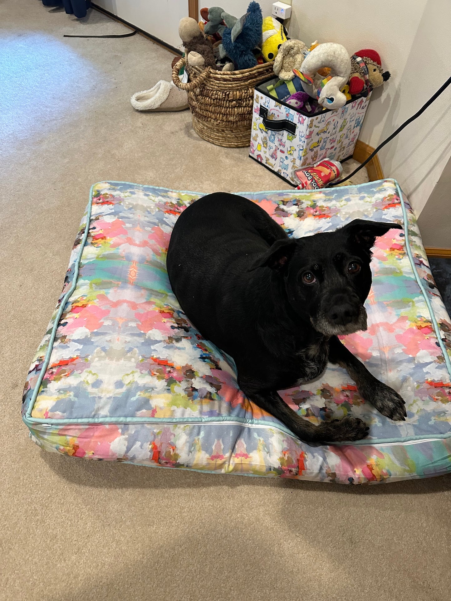Laura Parks Dog Bed