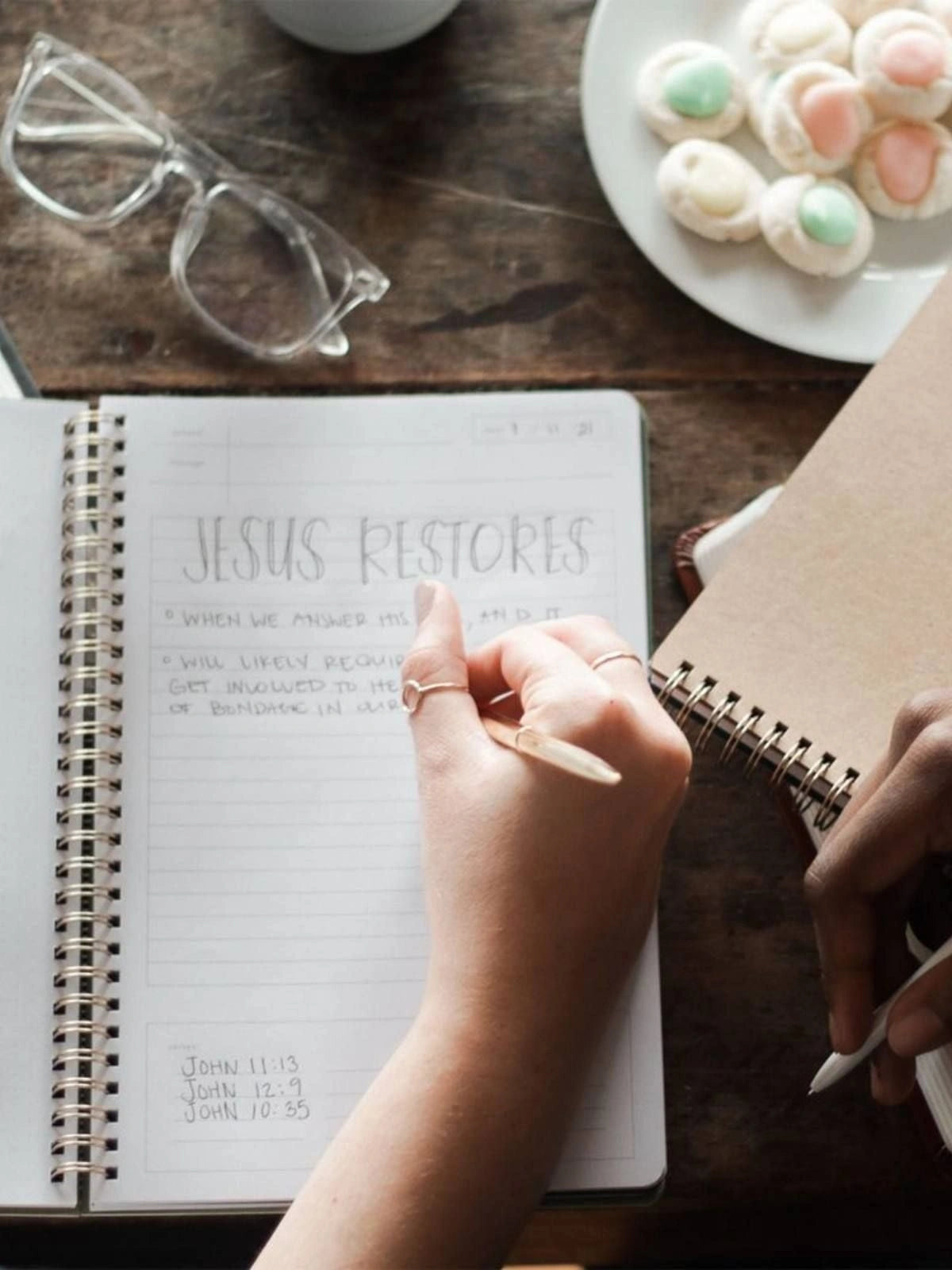Dove Grey Bible Study Notebook
