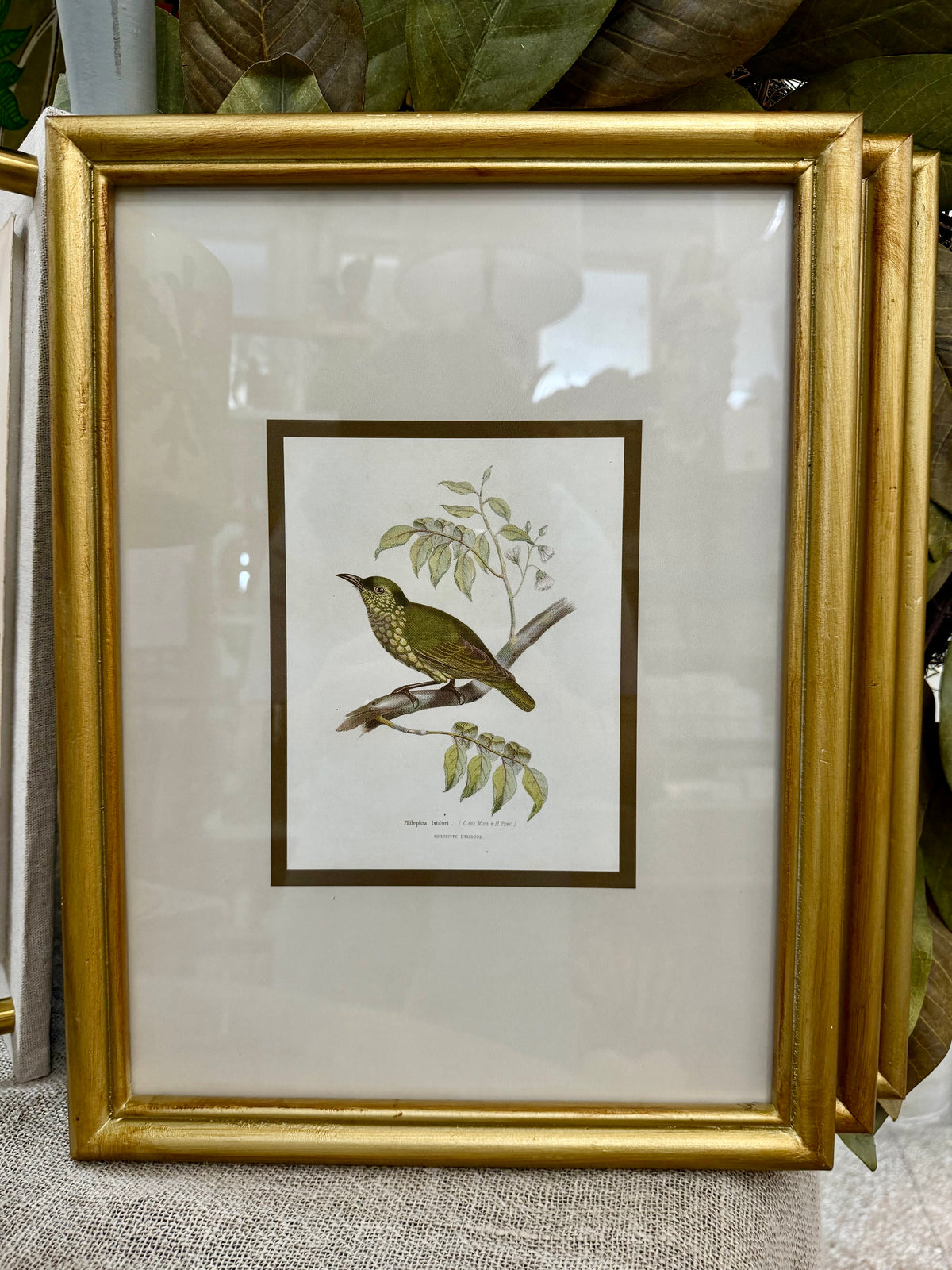 Gold Bird Print Frame