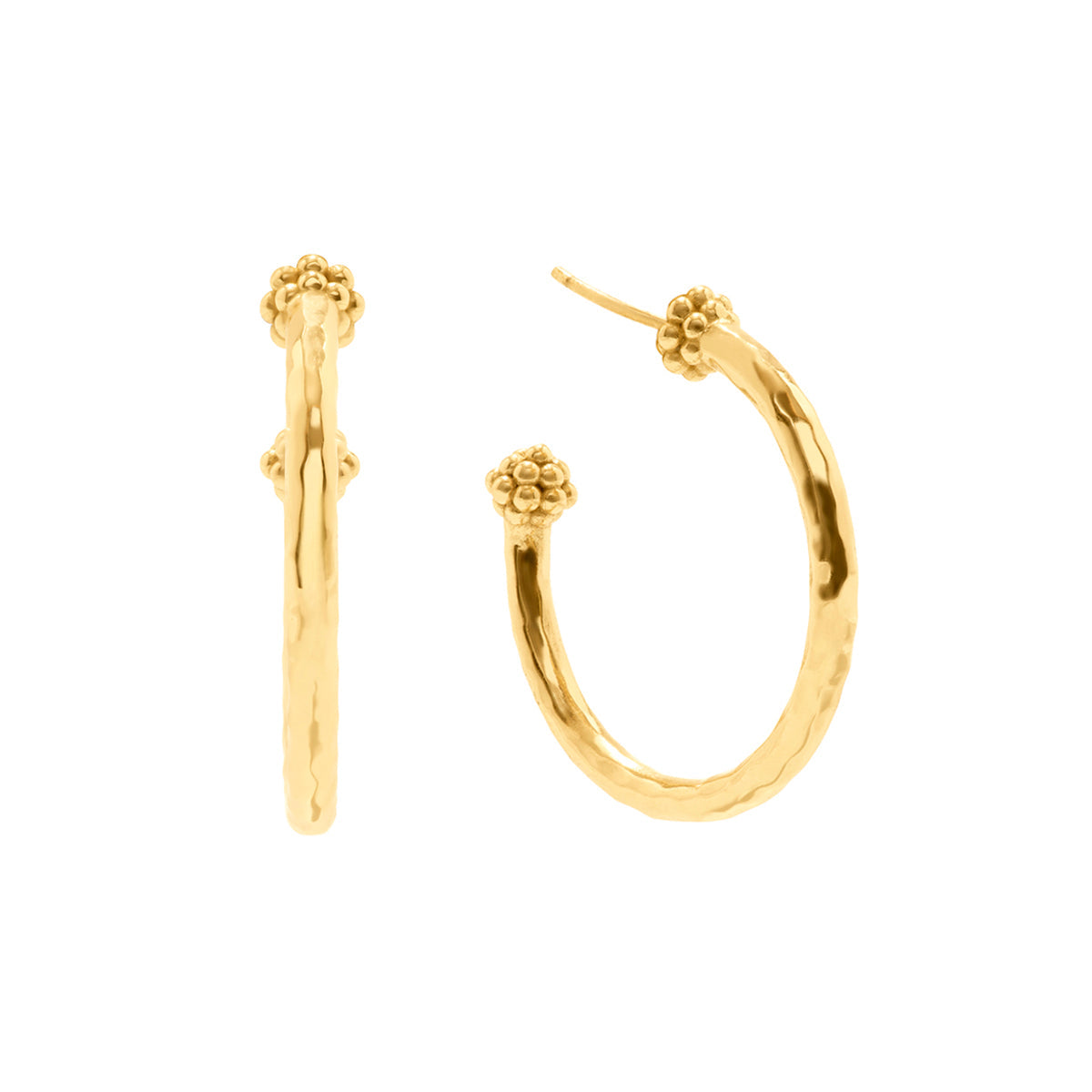 Capucine De Wulf Berry Slice Medium Hoop Earrings - Gold