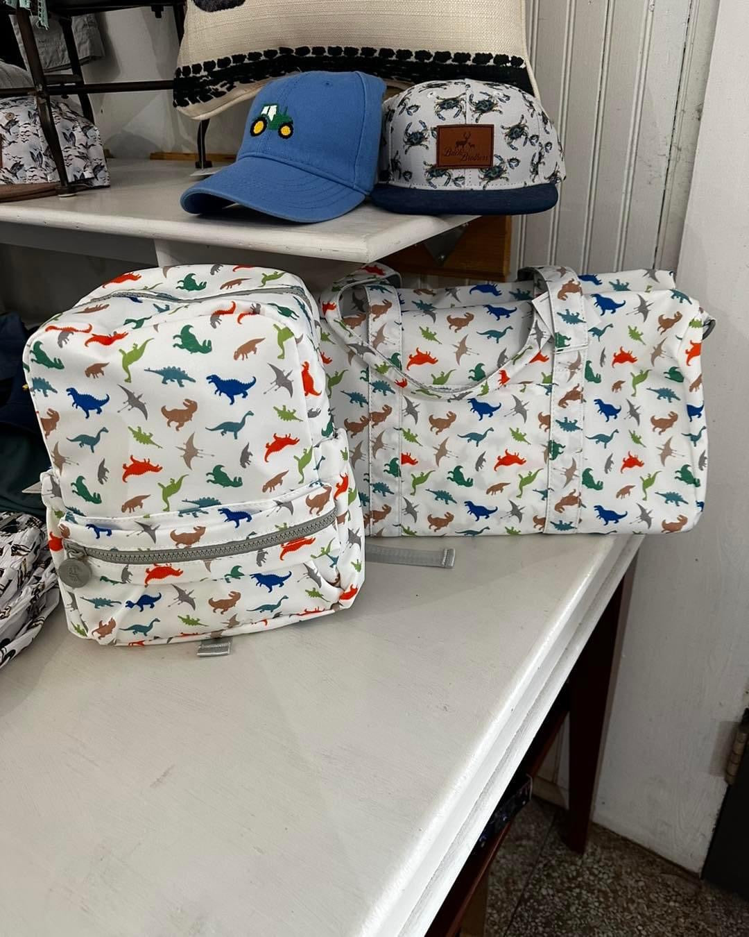 Dinosaur Wipable Backpack