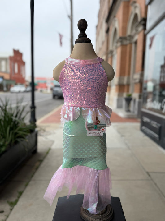 Misty Mermaid Dress Up
