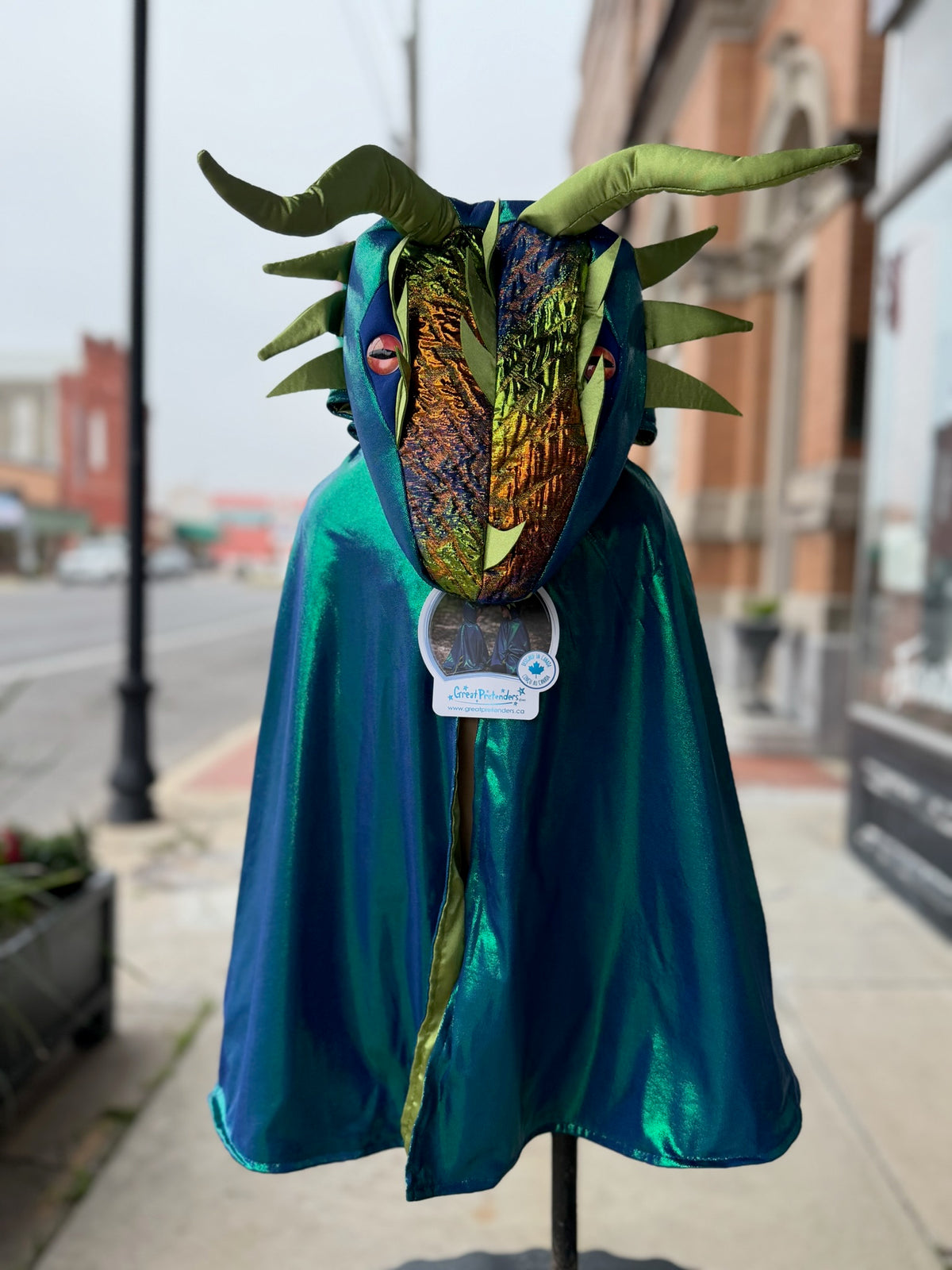 Metalic Dragon Cape Dress Up