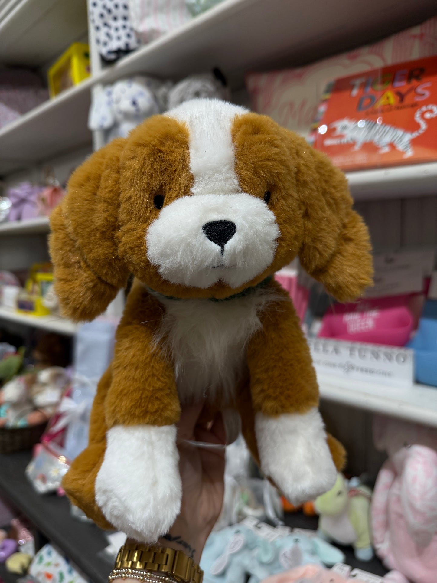 With My Dog - A Picture Book and Plush