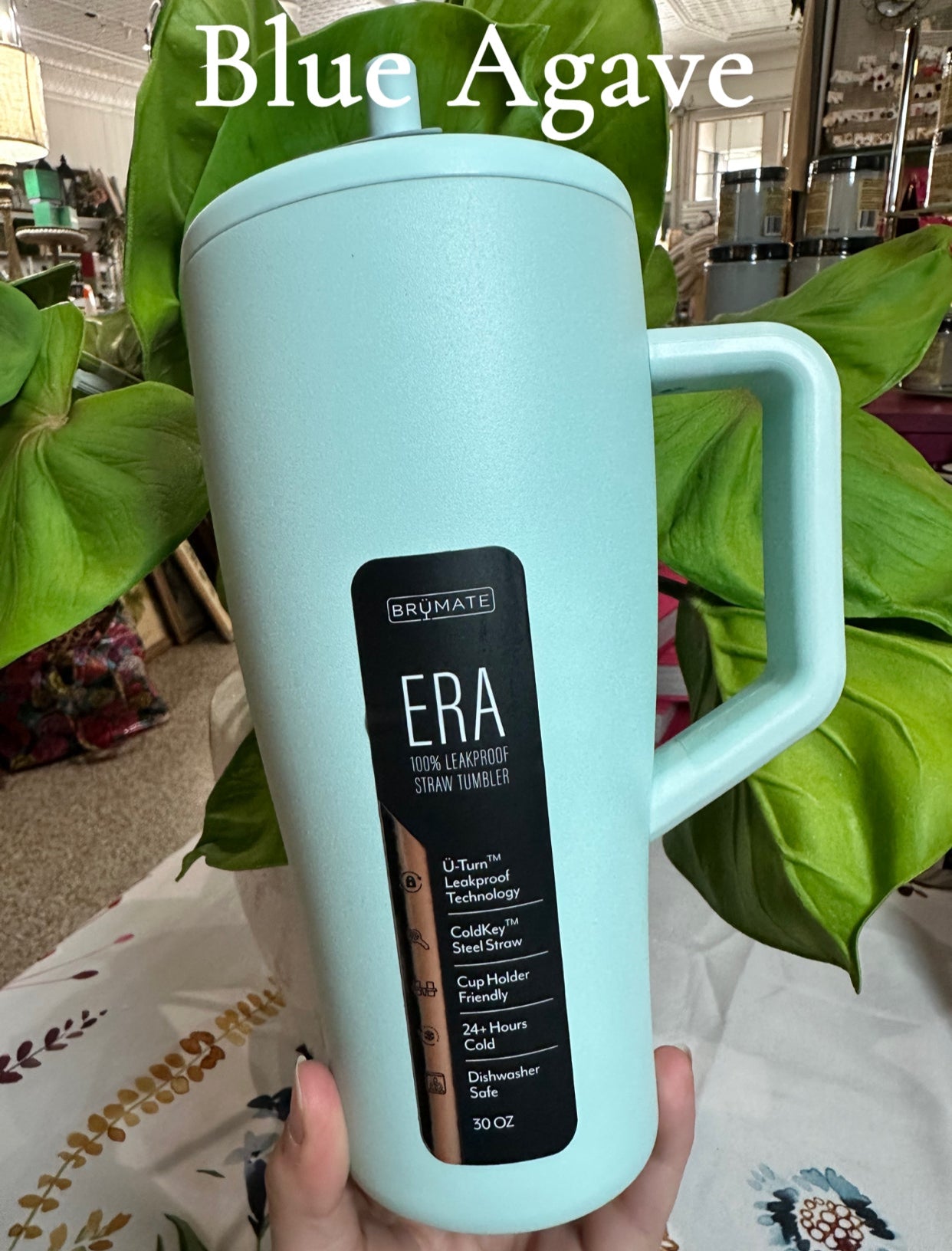 brumate monstera era Brumate Era 30oz